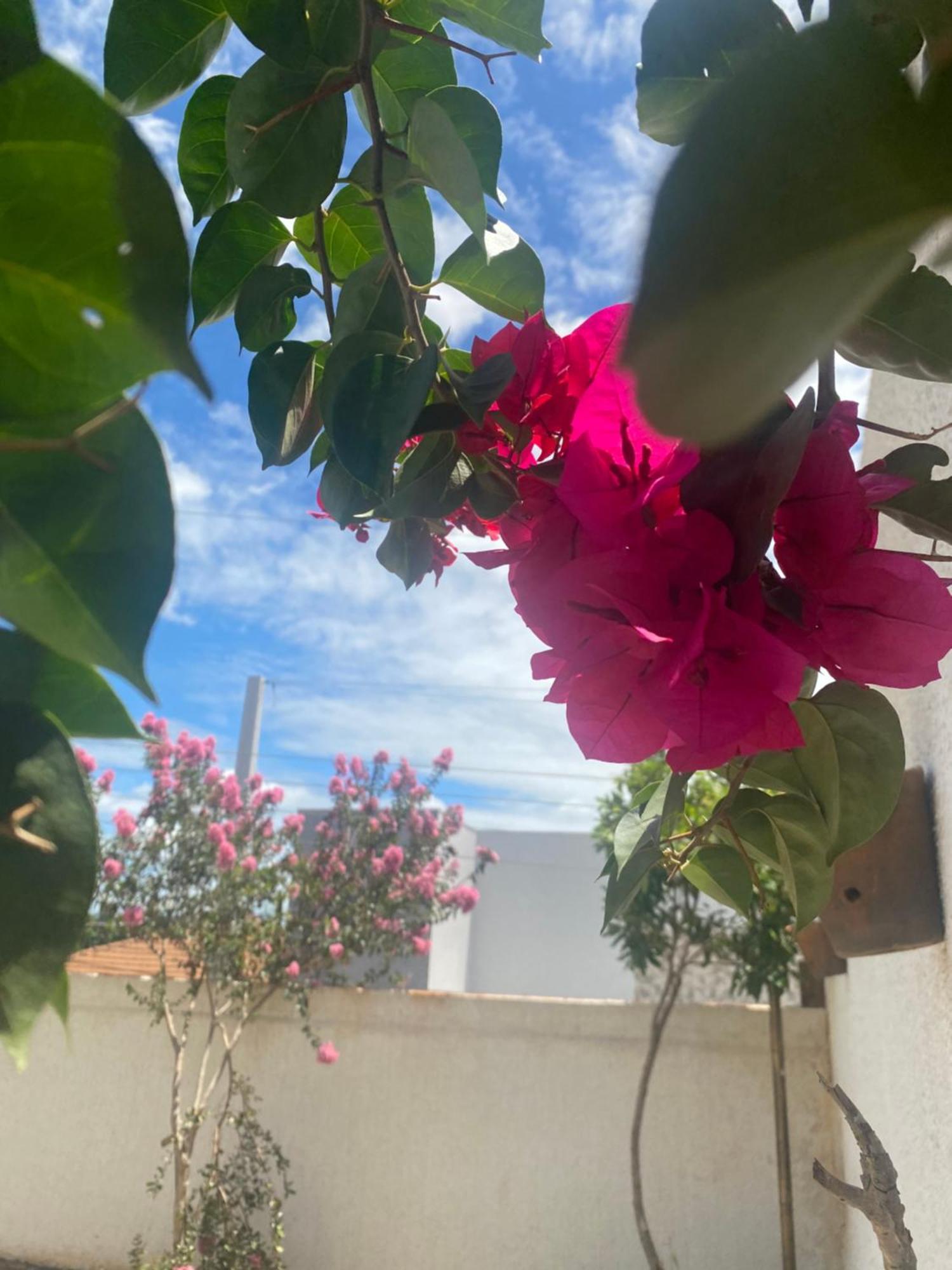 Queiroz Palace Hotel Siqueira Campos Luaran gambar